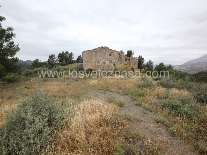 LVC480: Country Property to Reform for sale in Fontanares, Murcia