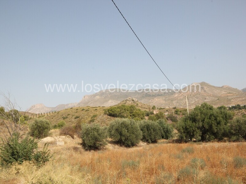 LVC481: Reformed Country Property for sale in Fontanares, Murcia