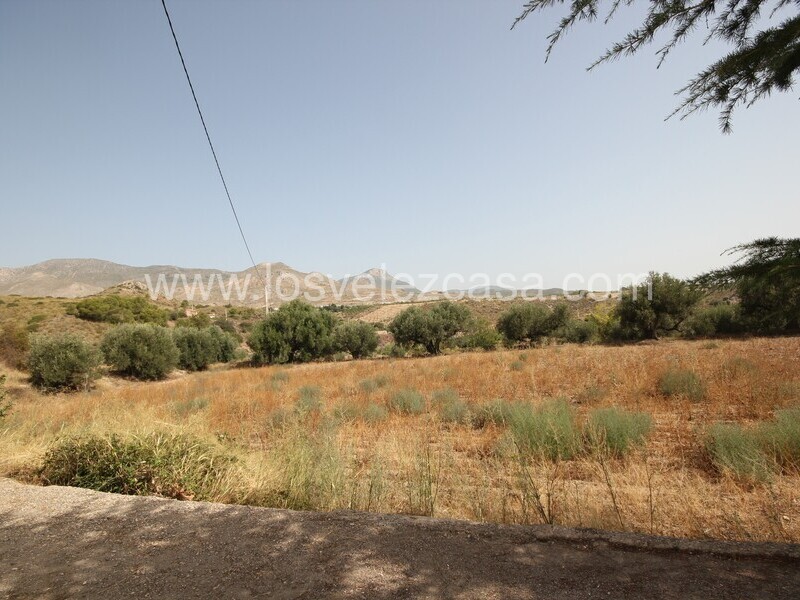 LVC481: Reformed Country Property for sale in Fontanares, Murcia