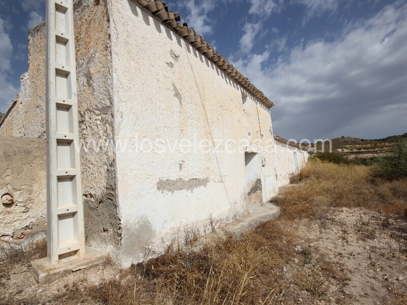 LVC483: Country Property to Reform for sale in Fontanares, Murcia