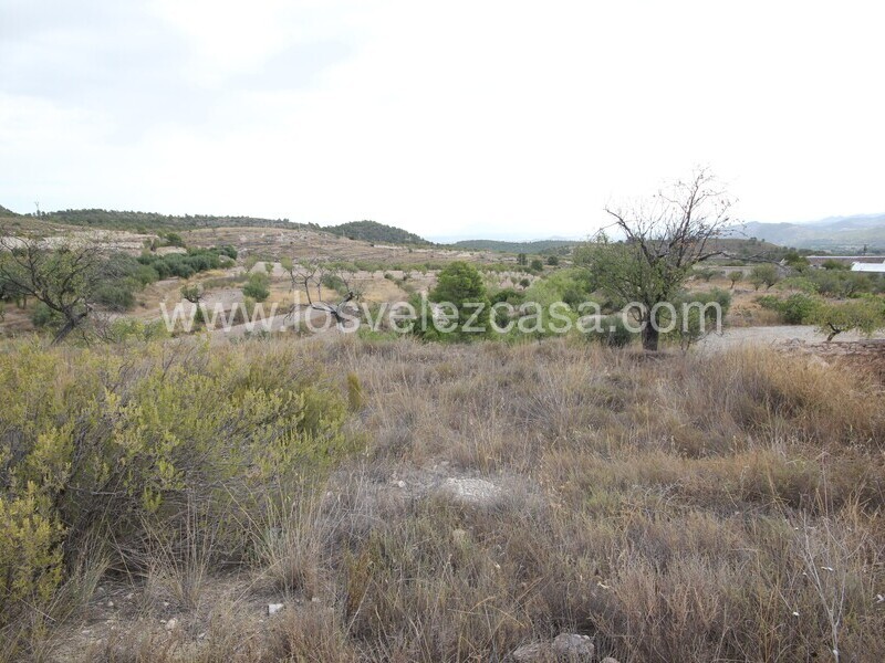 LVC483: Country Property to Reform for sale in Fontanares, Murcia