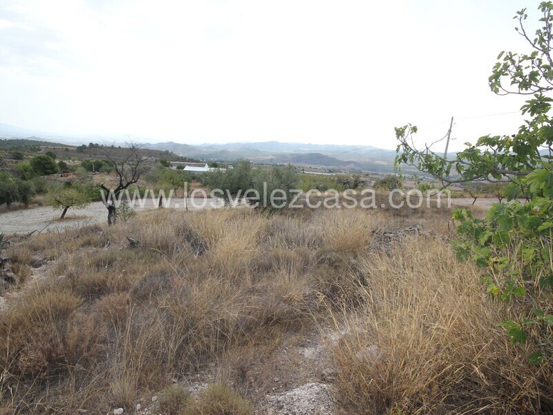 LVC483: Country Property to Reform for sale in Fontanares, Murcia