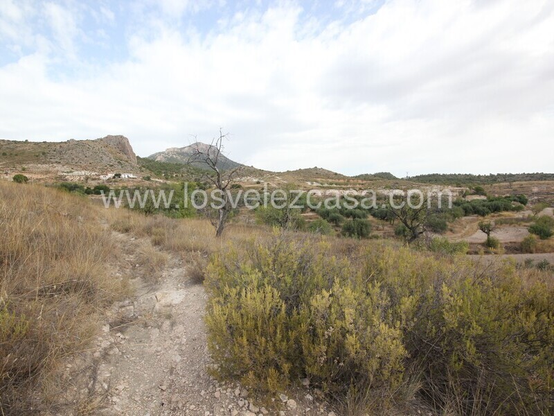 LVC483: Country Property to Reform for sale in Fontanares, Murcia