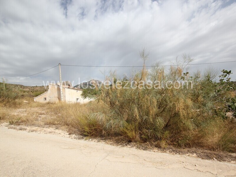 LVC483: Country Property to Reform for sale in Fontanares, Murcia