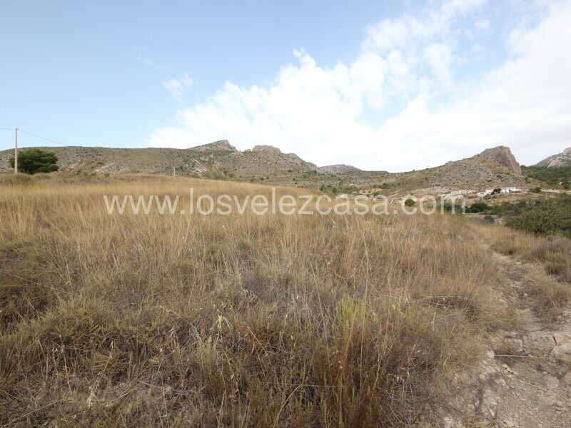 LVC483: Country Property to Reform for sale in Fontanares, Murcia