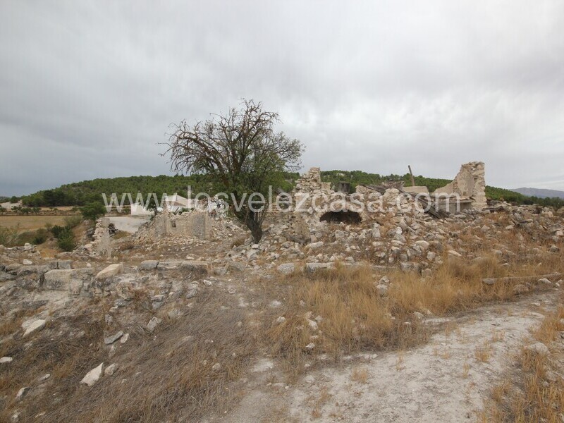 LVC484: Land for sale in Maria, Almería