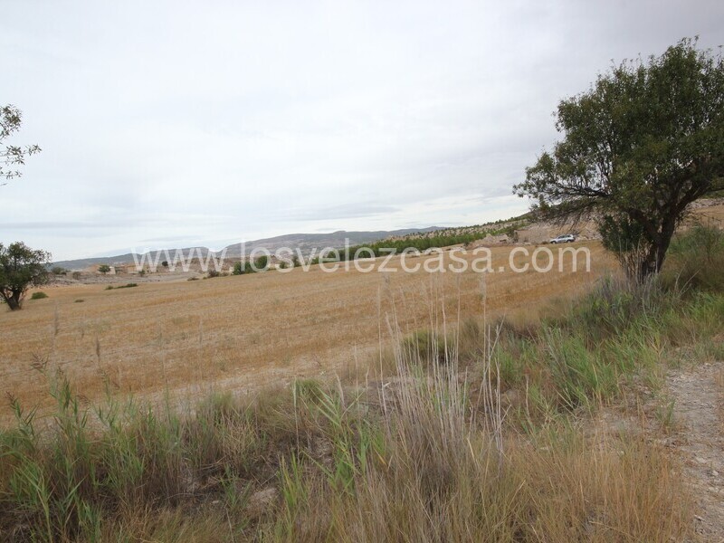 LVC484: Land for sale in Maria, Almería