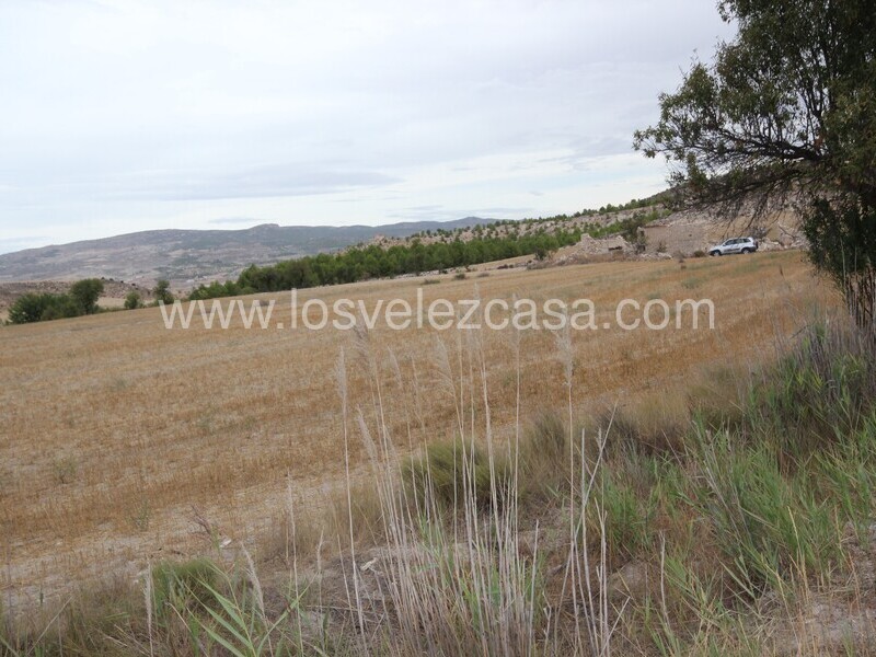 LVC484: Land for sale in Maria, Almería