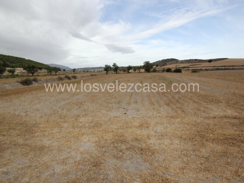 LVC484: Land for sale in Maria, Almería