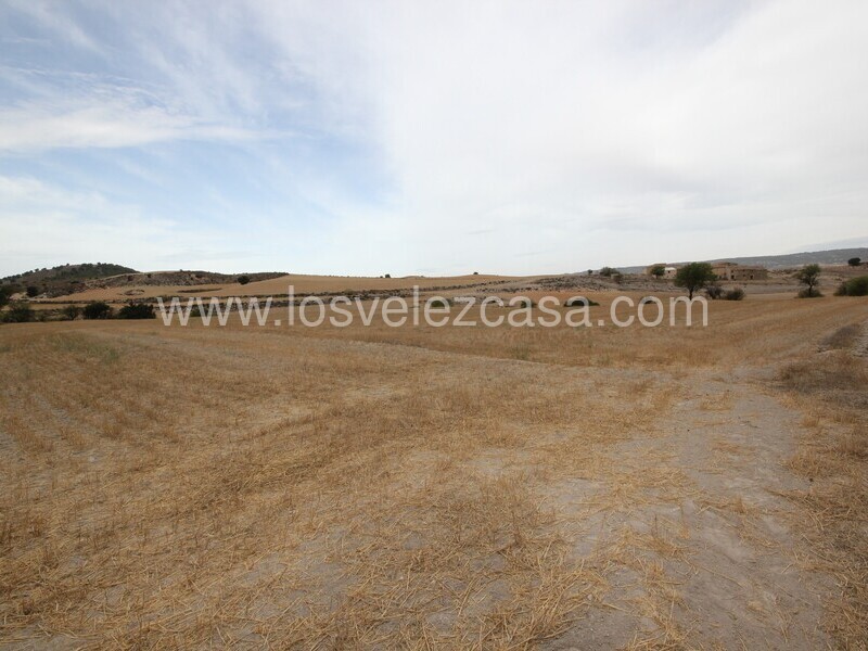 LVC484: Land for sale in Maria, Almería