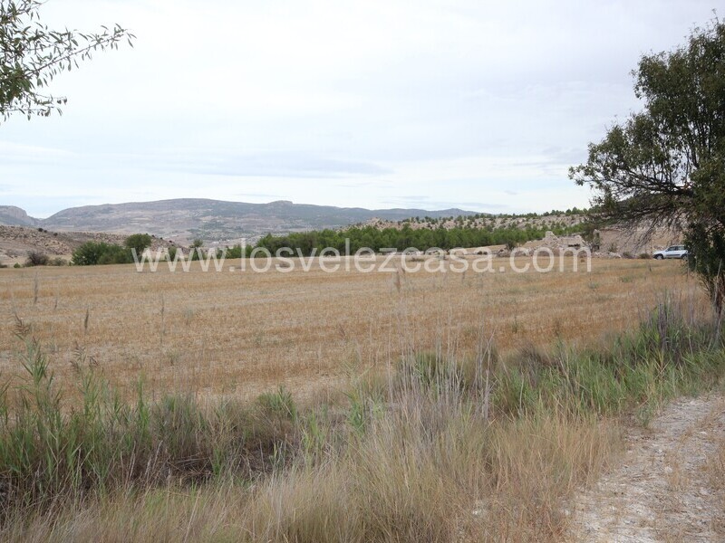 LVC484: Land for sale in Maria, Almería