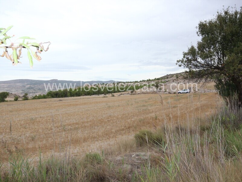 LVC484: Land for sale in Maria, Almería