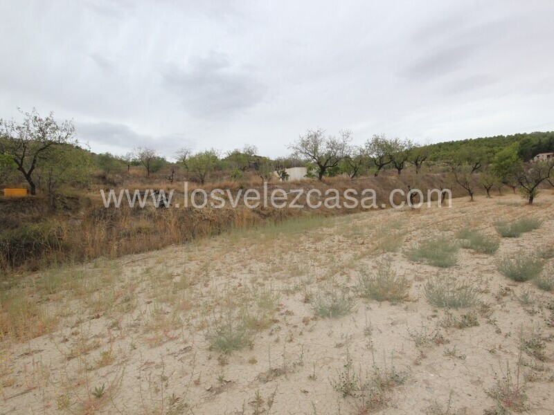 LVC485: Country Property to Reform for sale in Velez Rubio, Almería