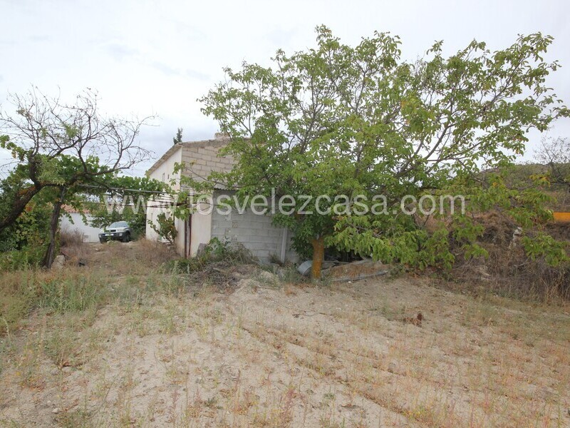 LVC485: Country Property to Reform for sale in Velez Rubio, Almería