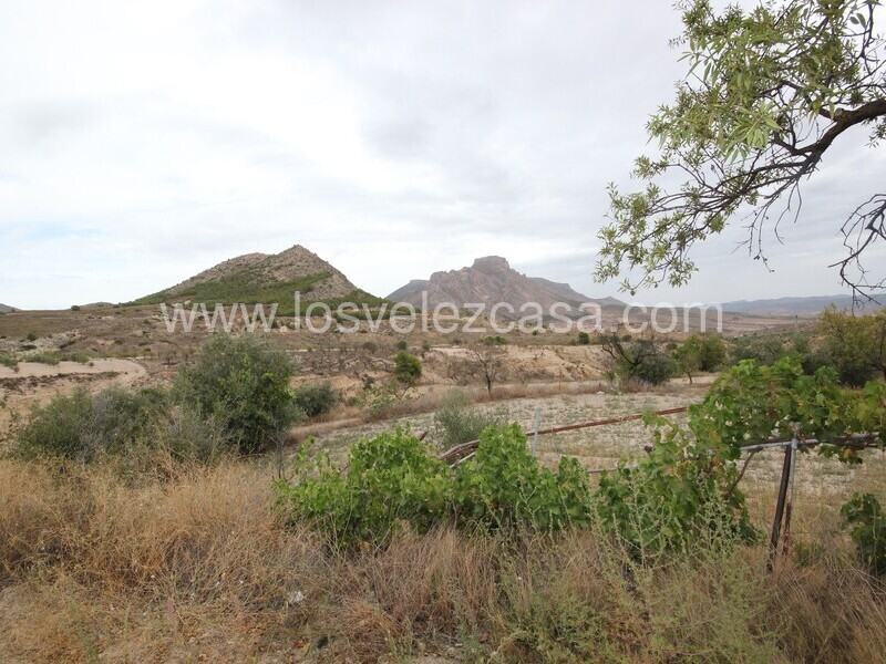 LVC485: Country Property to Reform for sale in Velez Rubio, Almería