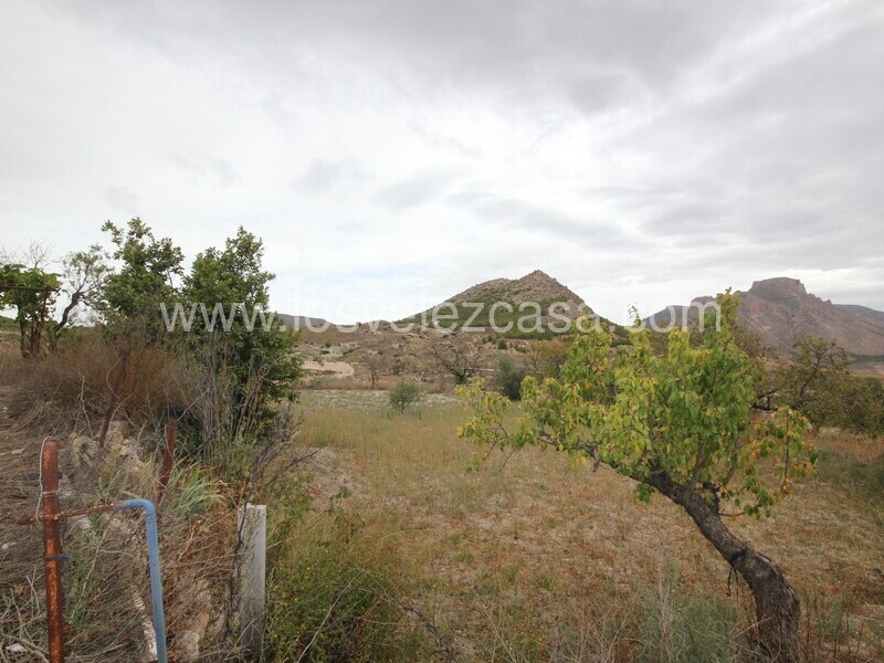 LVC485: Country Property to Reform for sale in Velez Rubio, Almería