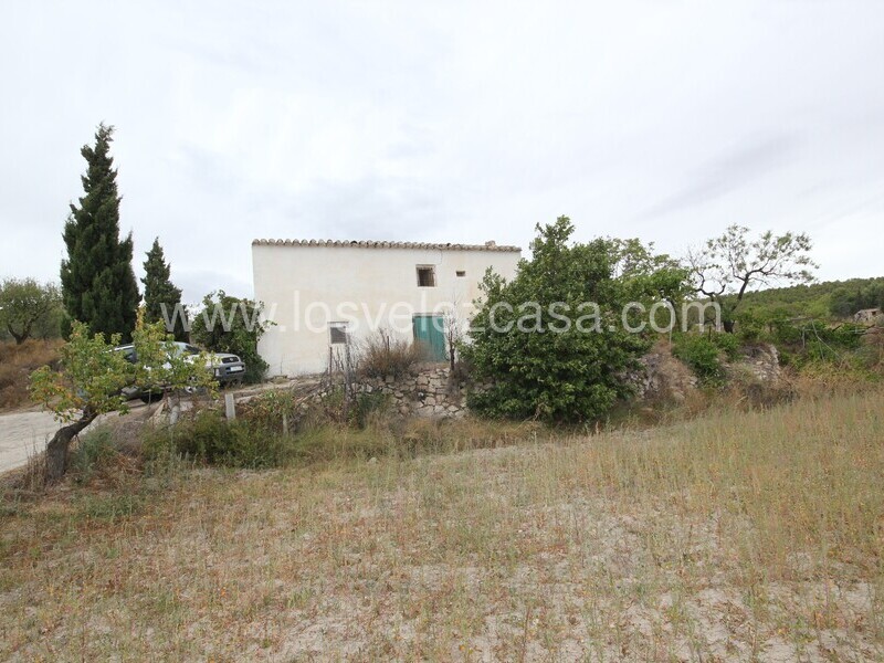 LVC485: Country Property to Reform for sale in Velez Rubio, Almería