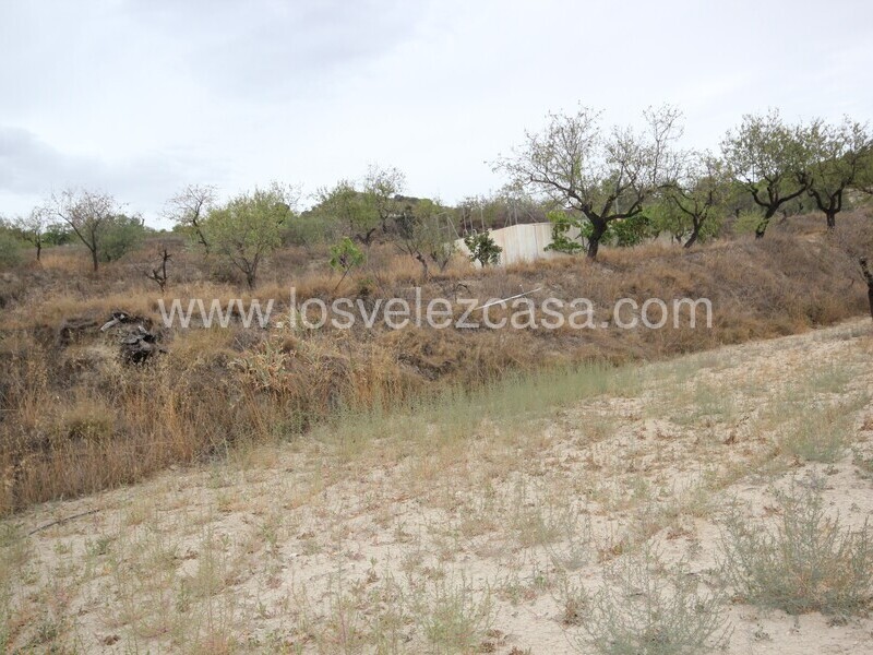 LVC485: Country Property to Reform for sale in Velez Rubio, Almería