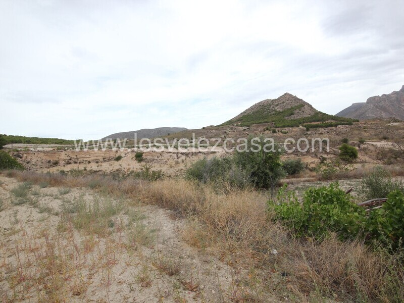 LVC485: Country Property to Reform for sale in Velez Rubio, Almería