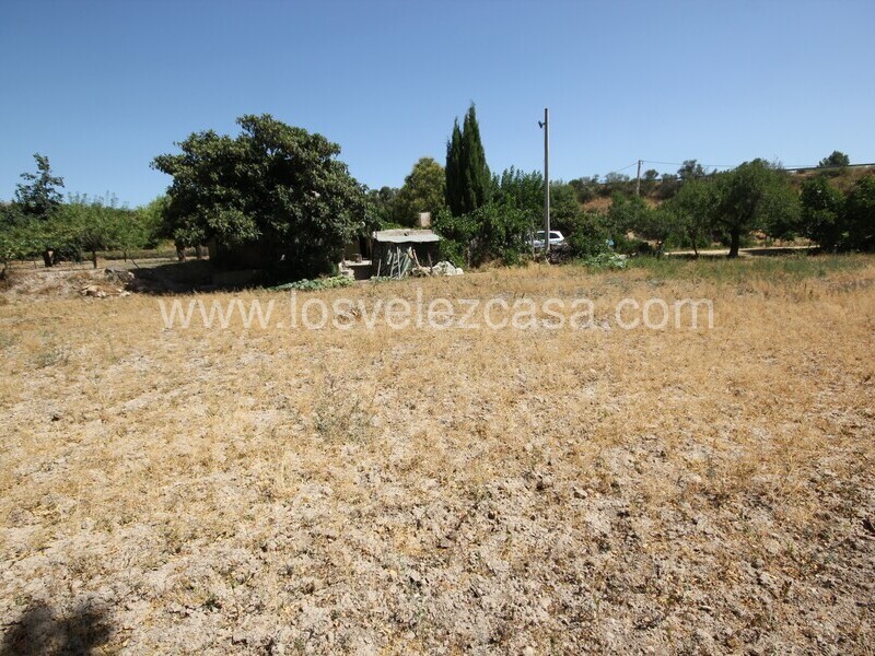 LVC497: Small Holding for sale in Velez Rubio, Almería