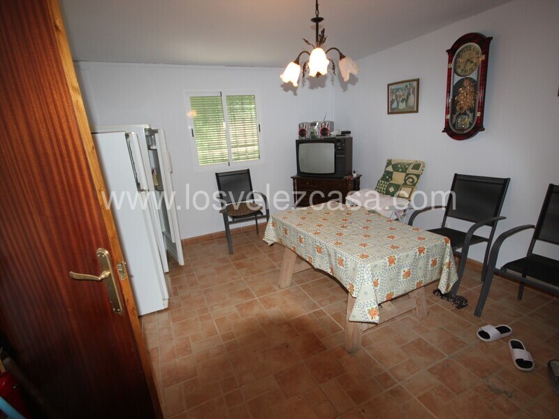 LVC497: Small Holding for sale in Velez Rubio, Almería