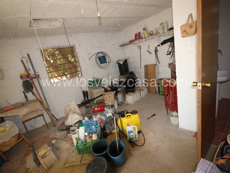 LVC497: Small Holding for sale in Velez Rubio, Almería