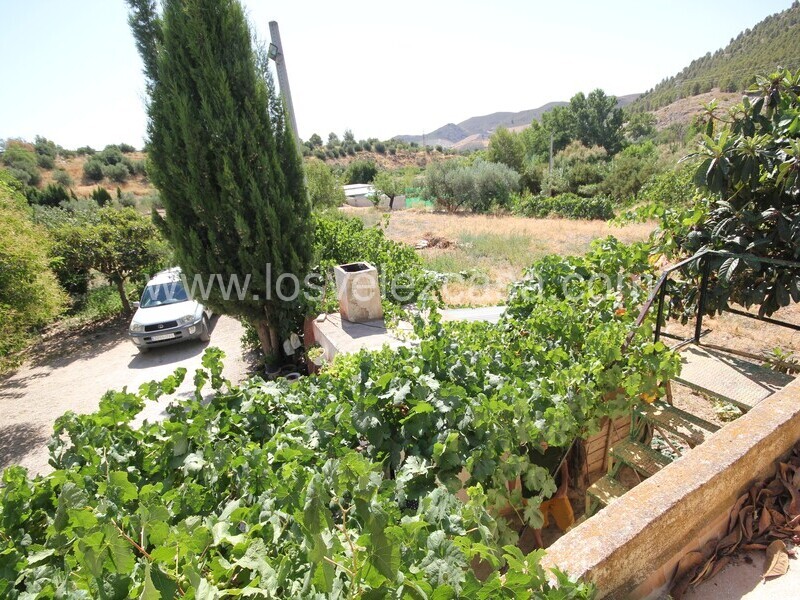 LVC497: Small Holding for sale in Velez Rubio, Almería