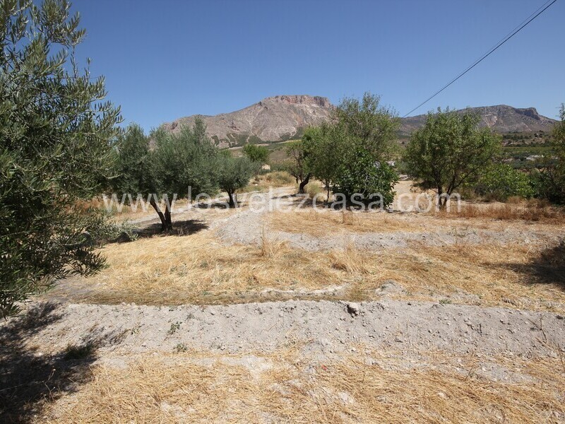 LVC498: Land for sale in Velez Blanco, Almería