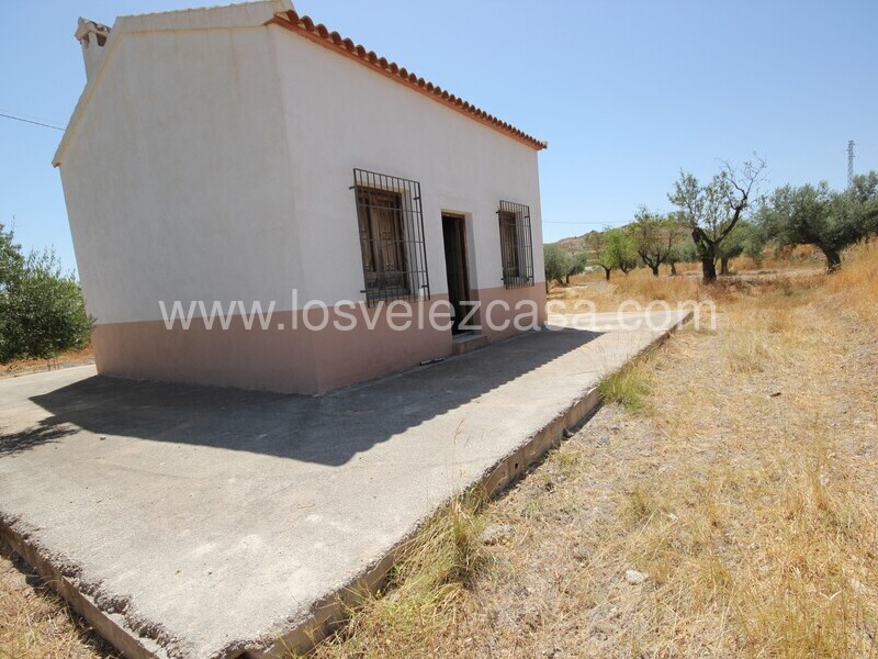 LVC498: Land for sale in Velez Blanco, Almería