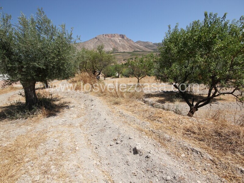 LVC498: Land for sale in Velez Blanco, Almería