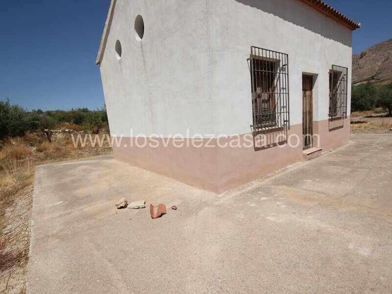 LVC498: Land for sale in Velez Blanco, Almería