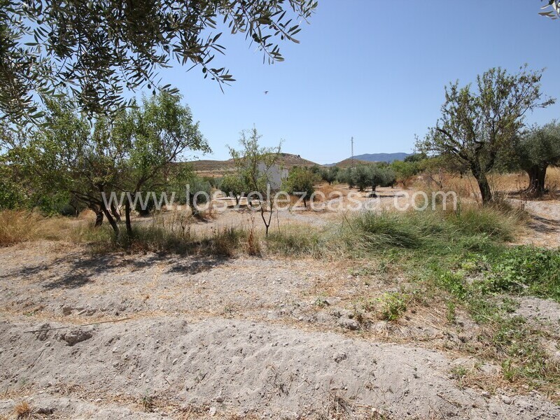 LVC498: Land for sale in Velez Blanco, Almería