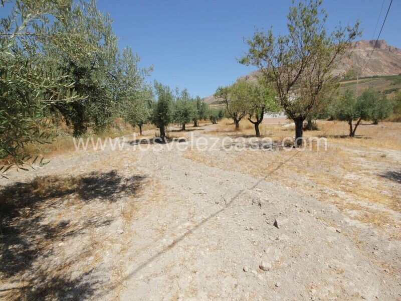 LVC498: Land for sale in Velez Blanco, Almería