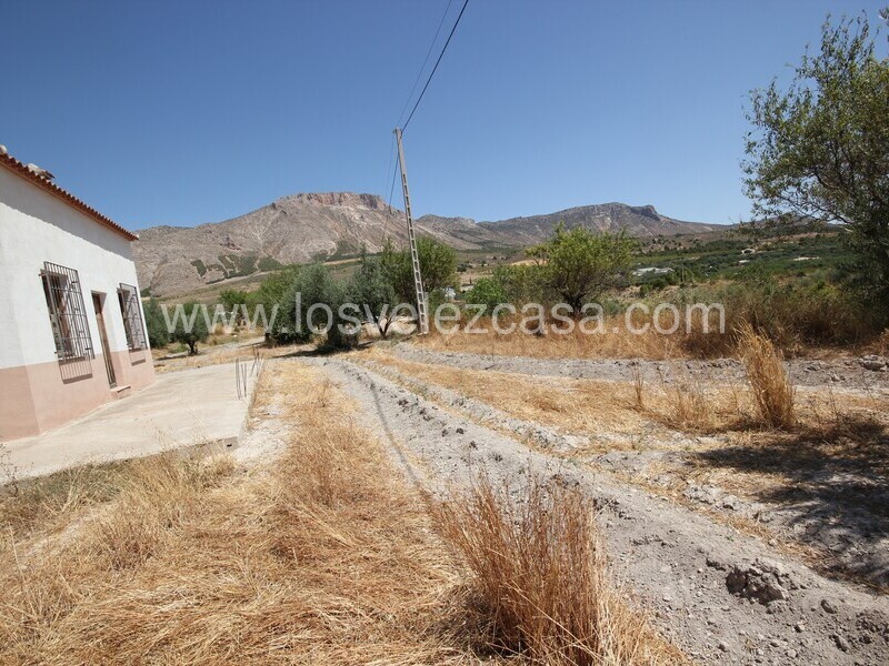 LVC498: Land for sale in Velez Blanco, Almería