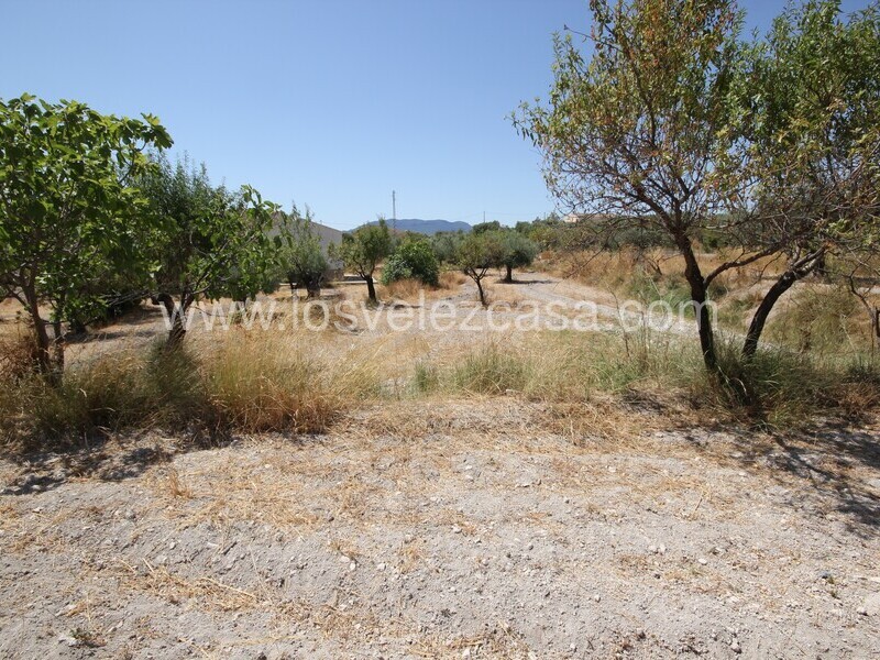 LVC498: Land for sale in Velez Blanco, Almería