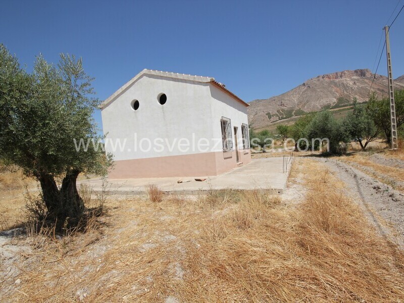 LVC498: Land for sale in Velez Blanco, Almería