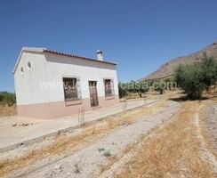 LVC498: Land in Velez Blanco, Almería