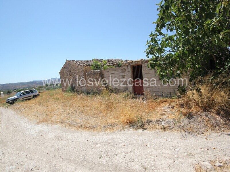 LVC502: Country Property to Reform for sale in Velez Rubio, Almería