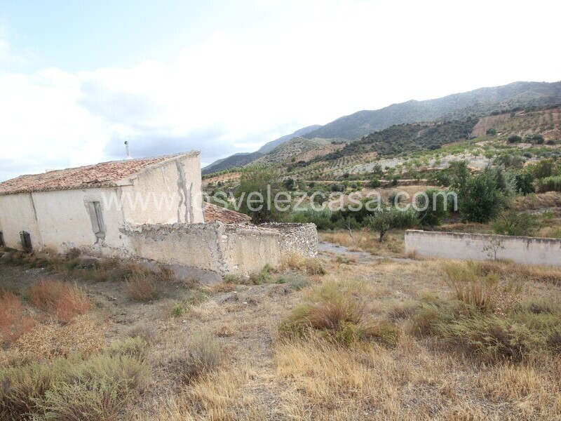 LVC504: Small Holding for sale in Velez Rubio, Almería