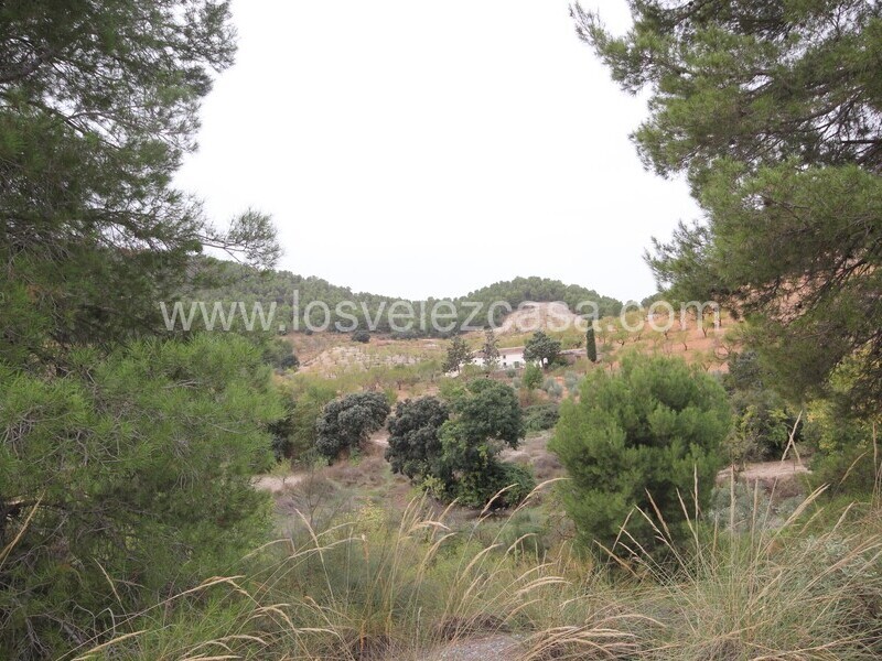 LVC505: Country Property to Reform for sale in Velez Rubio, Almería