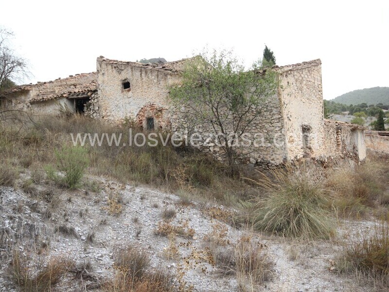 LVC505: Country Property to Reform for sale in Velez Rubio, Almería