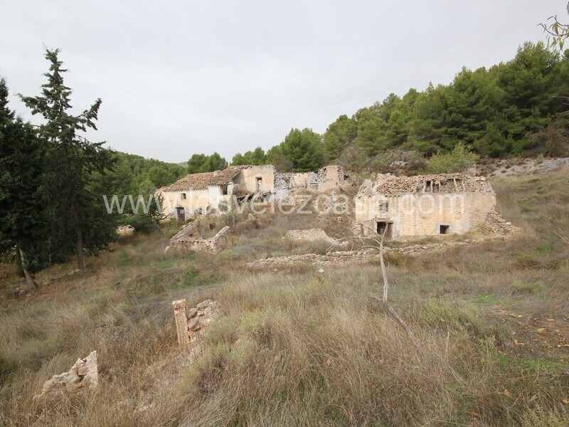 LVC505: Country Property to Reform for sale in Velez Rubio, Almería