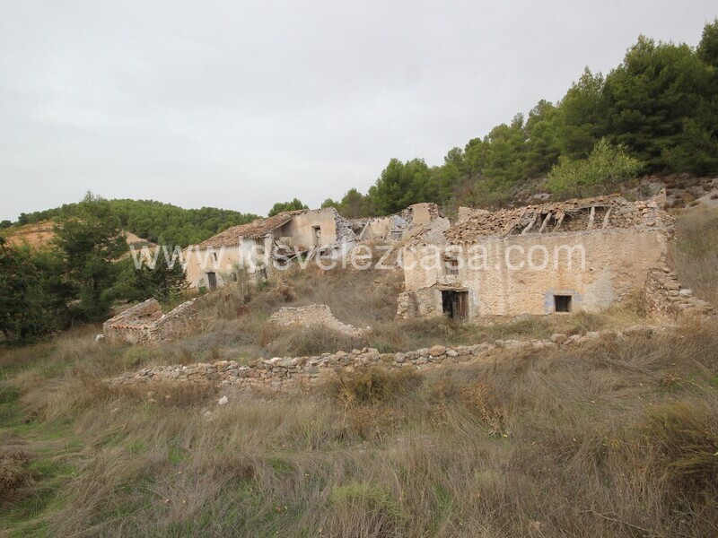 LVC505: Country Property to Reform for sale in Velez Rubio, Almería