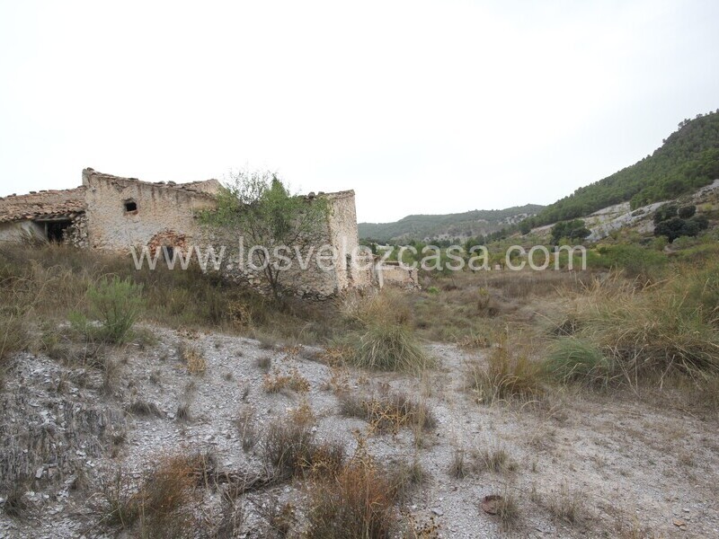 LVC505: Country Property to Reform for sale in Velez Rubio, Almería