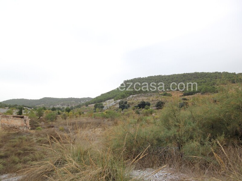 LVC505: Country Property to Reform for sale in Velez Rubio, Almería