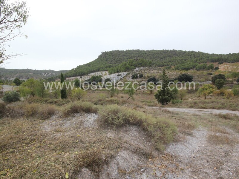 LVC505: Country Property to Reform for sale in Velez Rubio, Almería