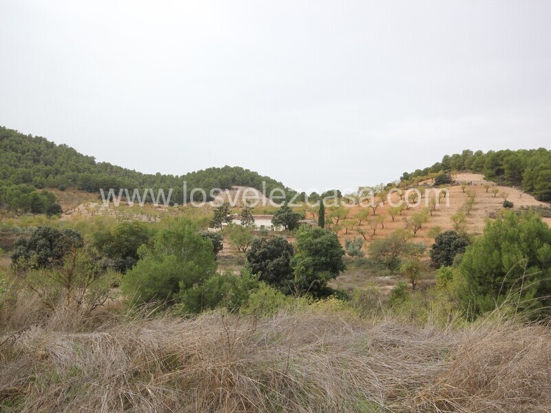 LVC505: Country Property to Reform for sale in Velez Rubio, Almería