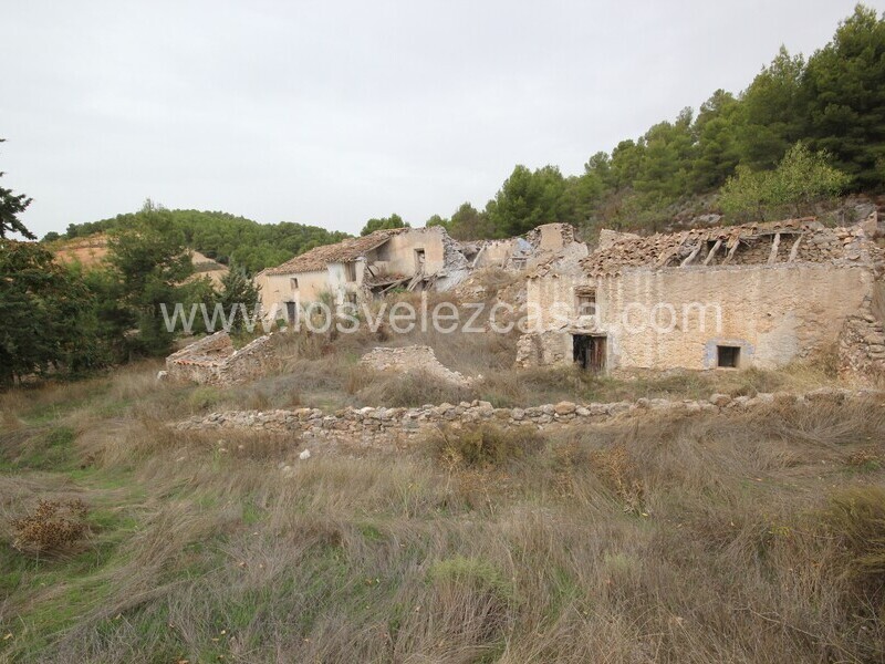 LVC505: Country Property to Reform for sale in Velez Rubio, Almería