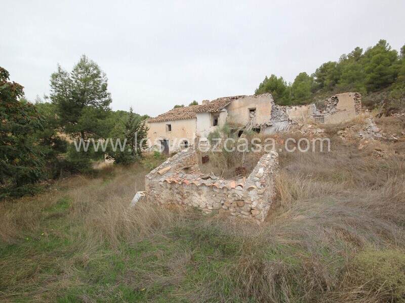 LVC505: Country Property to Reform for sale in Velez Rubio, Almería