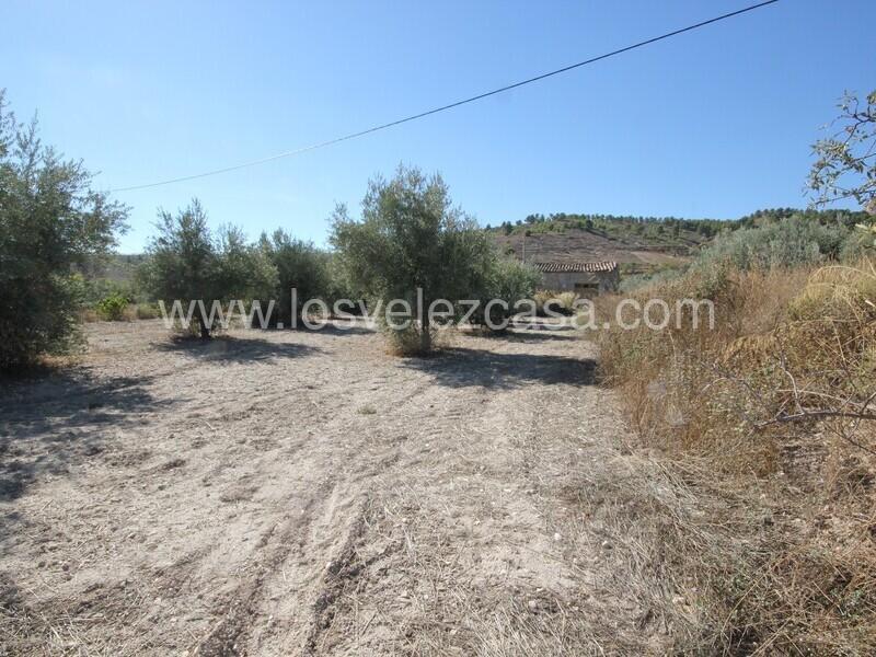 LVC506: Country Property to Reform for sale in Velez Blanco, Almería